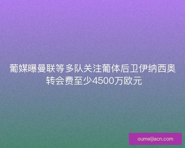 葡媒曝曼联等多队关注葡体后卫伊纳西奥 转会费至少4500万欧元