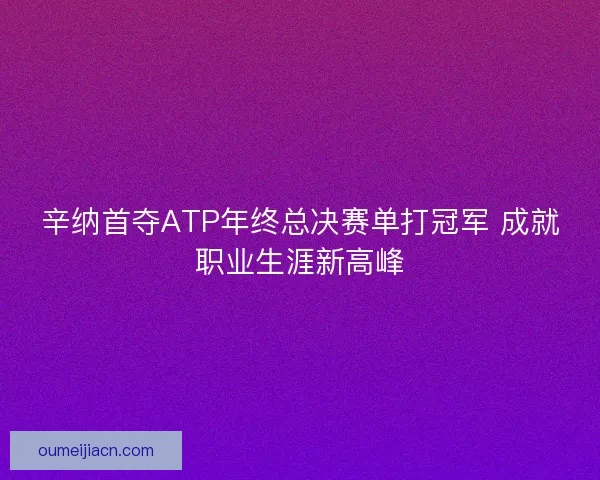 辛纳首夺ATP年终总决赛单打冠军 成就职业生涯新高峰