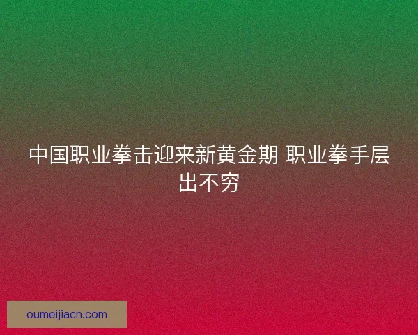 中国职业拳击迎来新黄金期 职业拳手层出不穷